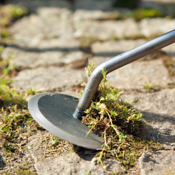 Krumpholz_Gartendisk_Unkrautmesser_1326_2 Krumpholz Gartendisk Unkrautmesser