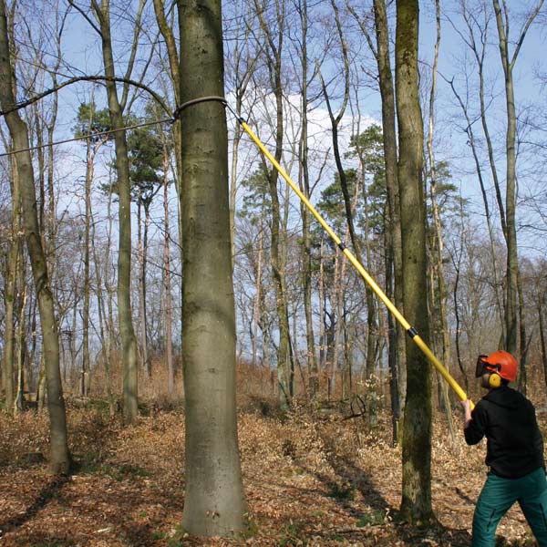 Fällhilfeseil aus Dyneema