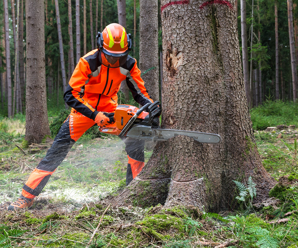 FAQ - Welche Säge ist die Beste? FAQ - Welche Säge ist die Beste?